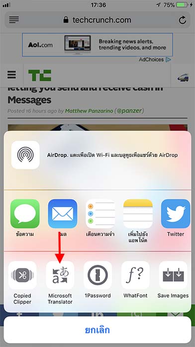 Safariextentions Microsofttranslator Cover