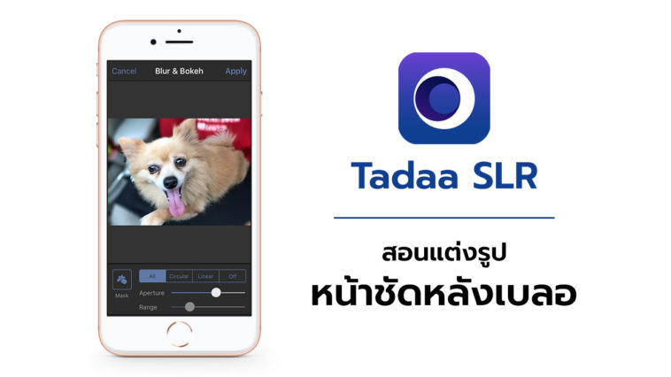 App Tadaaslr Cover
