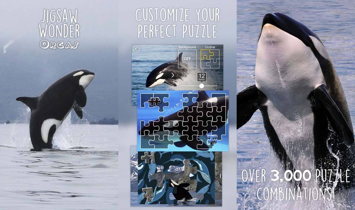 Game Jigsawwonder Cover