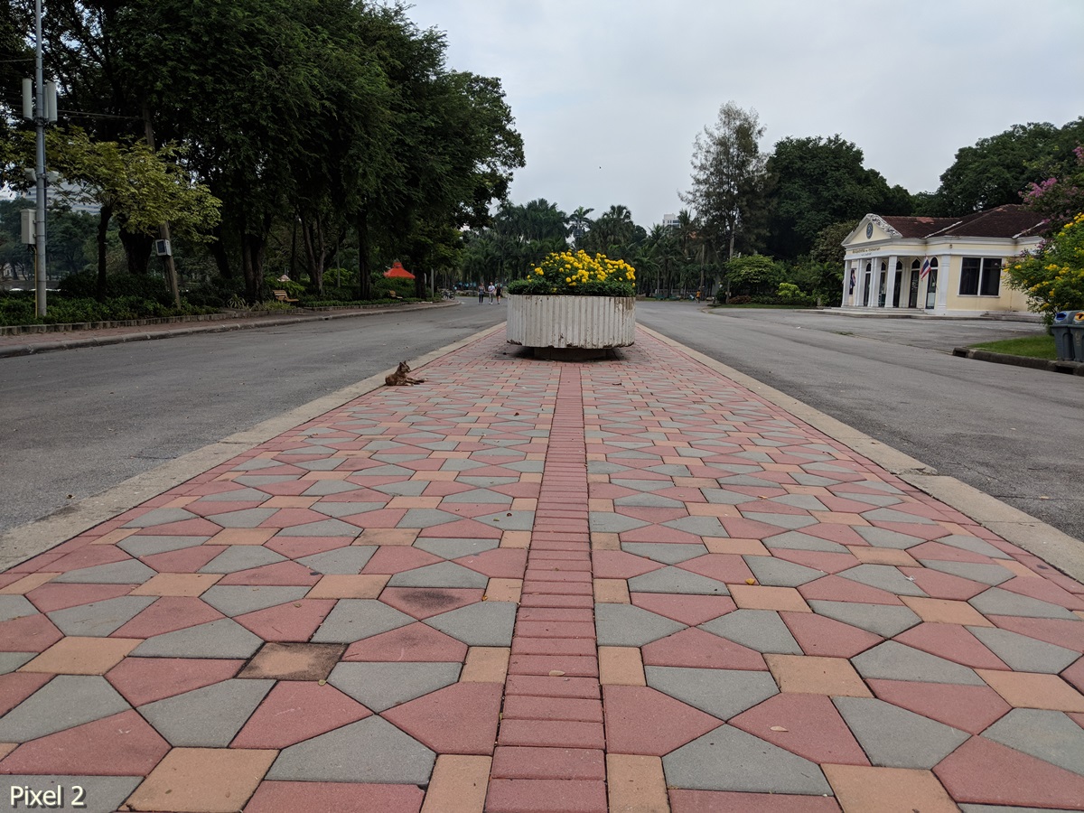 Photos Taken With Pixel 2 (10)