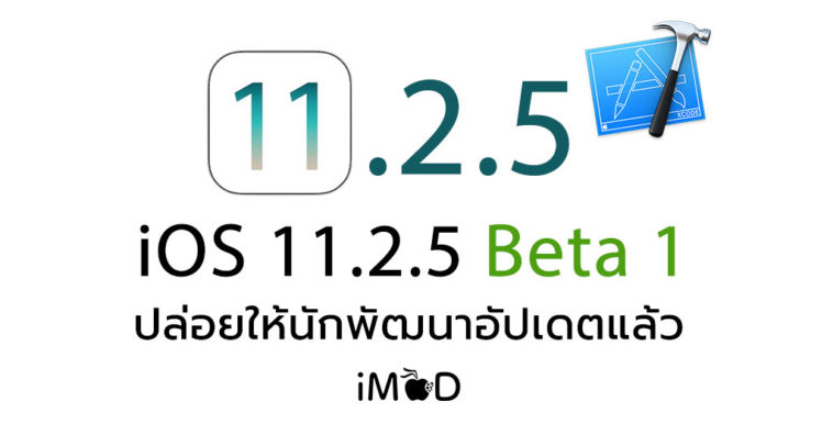 Ios 11 2 5 Beta 1 Seed