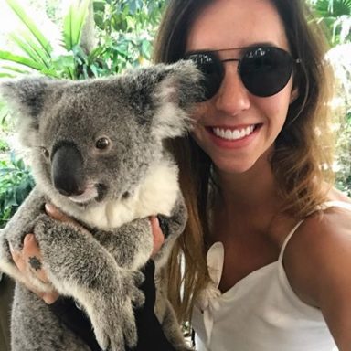 \u0e01\u0e32\u0e23\u0e40\u0e0b\u0e25\u0e1f\u0e35\u0e48\u0e01\u0e31\u0e1a\u0e2a\u0e31\u0e15\u0e27\u0e4c\u0e1b\u0e48\u0e32 \u0e16\u0e37\u0e2d\u0e27\u0e48\u0e32\u0e40\u0e1b\u0e47\u0e19\u0e40\u0e23\u0e37\u0e48\u0e2d\u0e07\u0e1c\u0e34\u0e14\u0e43\u0e19\u0e42\u0e25\u0e01\u0e02\u0e2d\u0e07 Instagram