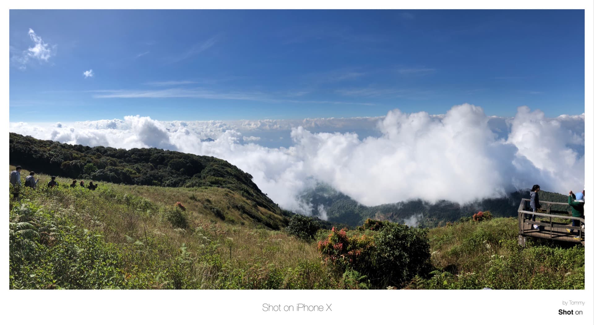 Shot On Iphone X By Tommy 02