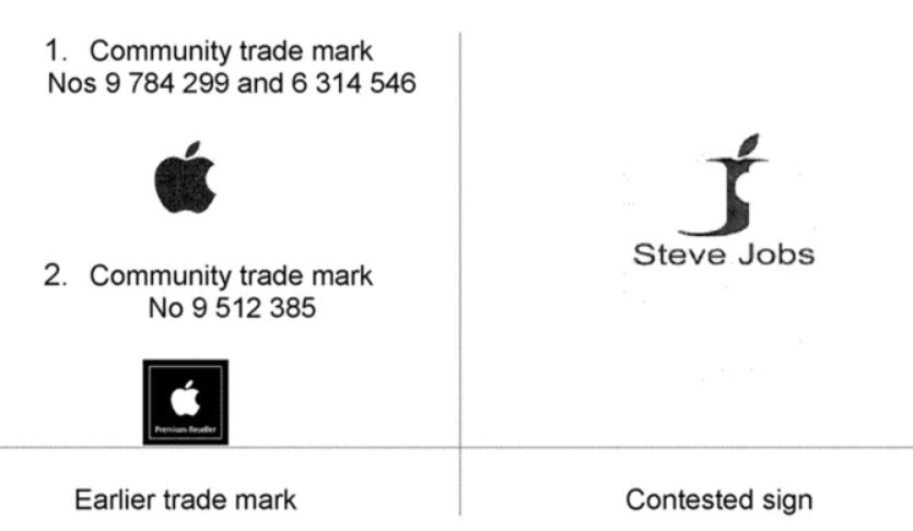 Barbato Brother Steve Jobs