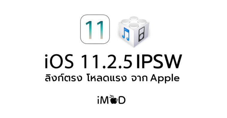 Ios11 2 5 Ipsw
