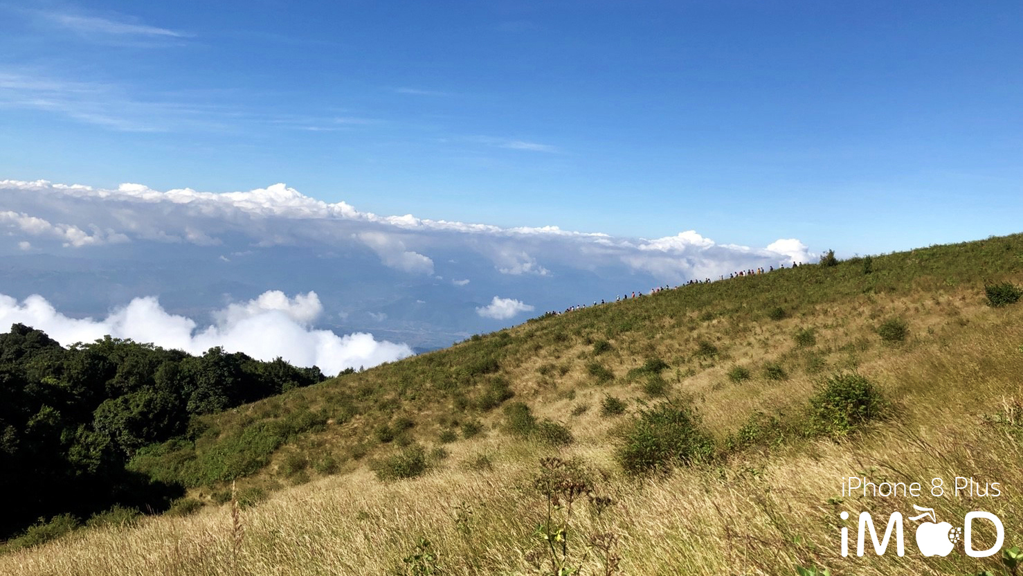 Iphone 8 Plus Wide Angle View 1