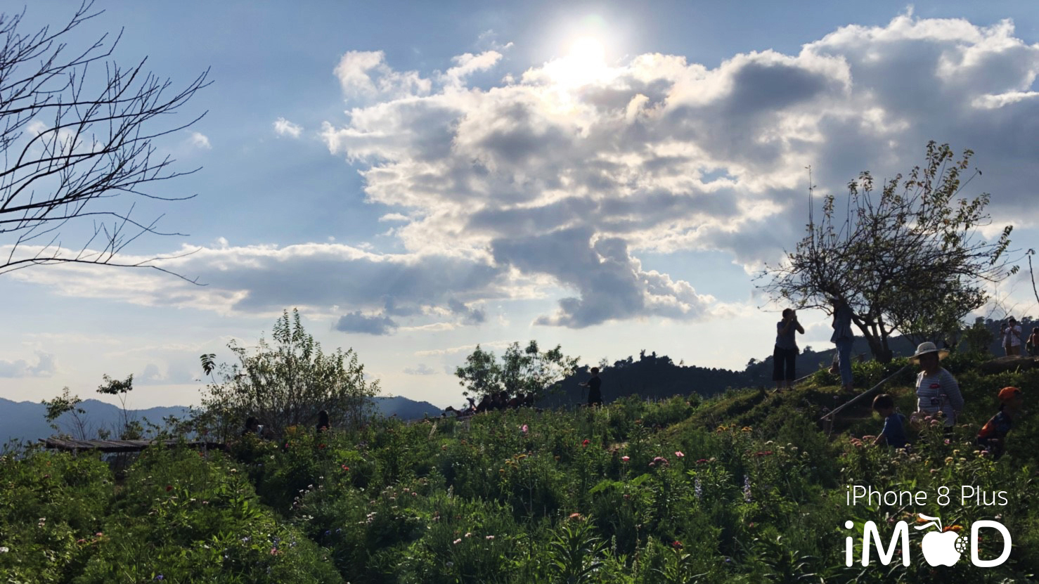 Iphone 8 Plus Wide Angle View 10