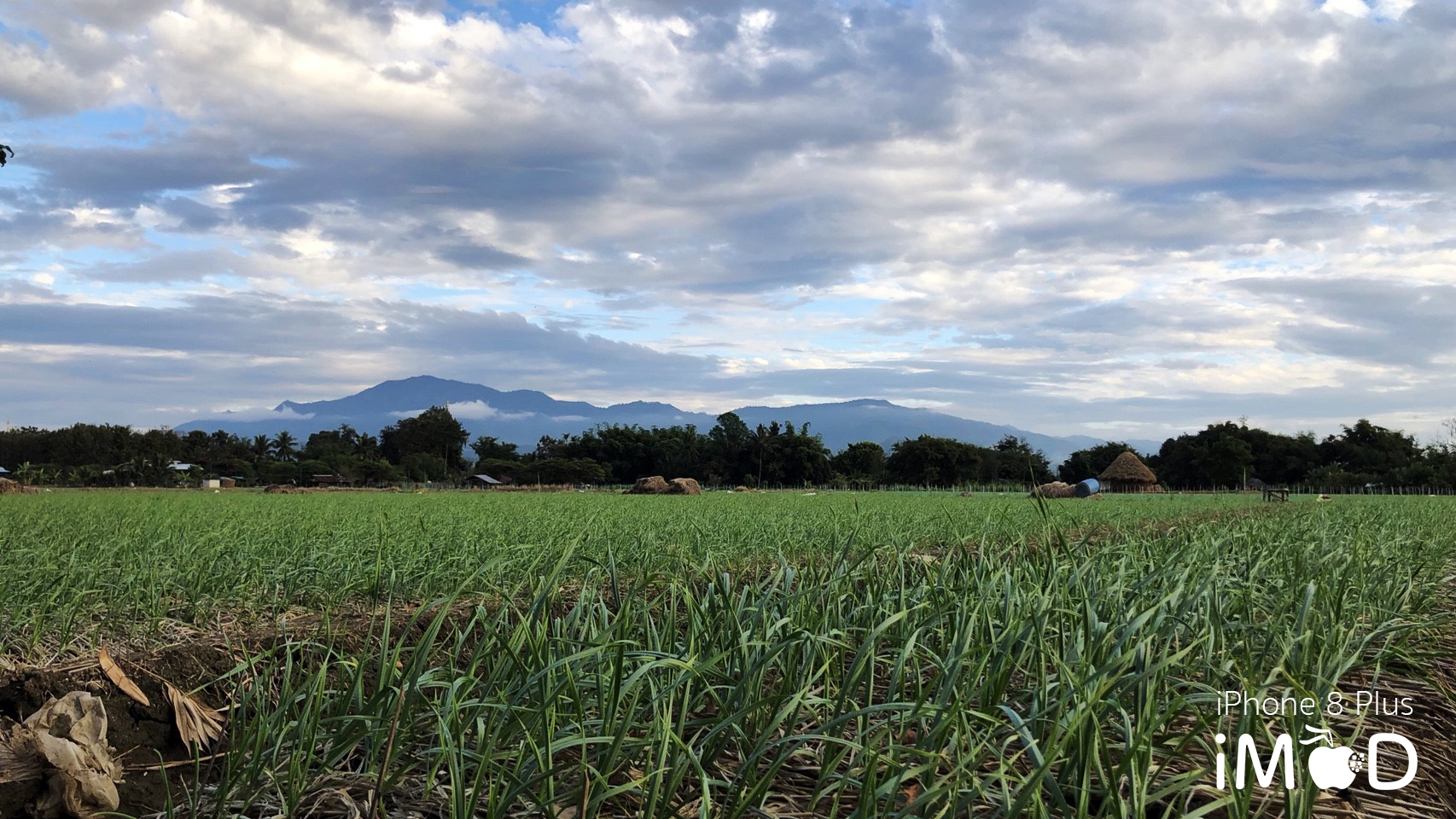 Iphone 8 Plus Wide Angle View 14