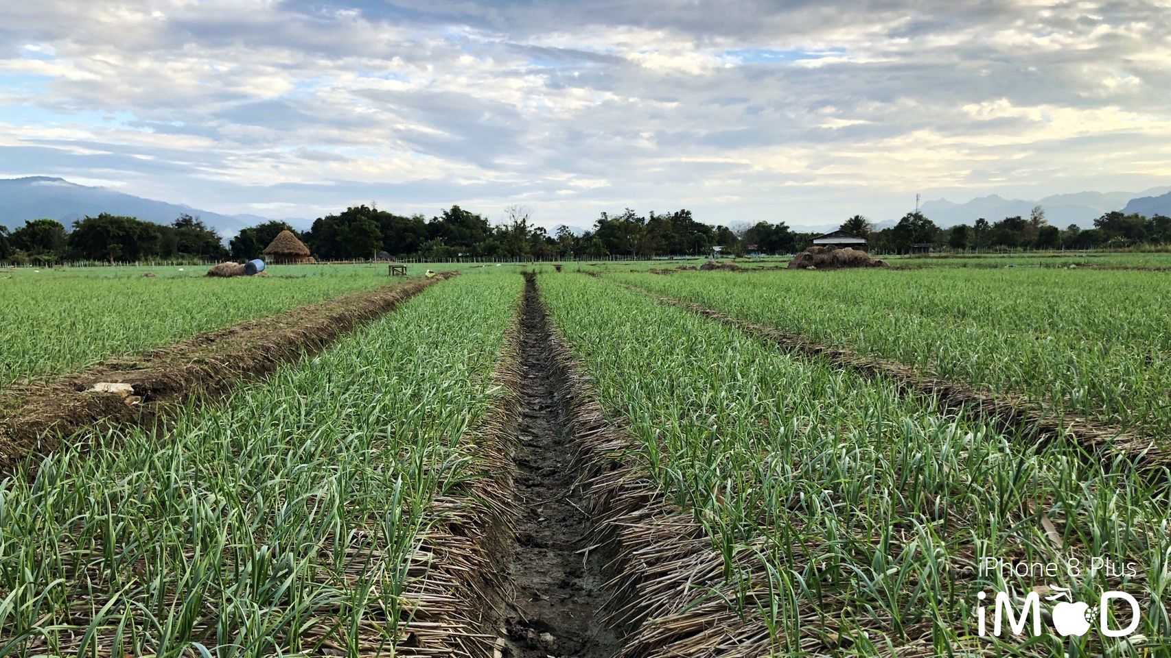 Iphone 8 Plus Wide Angle View 15