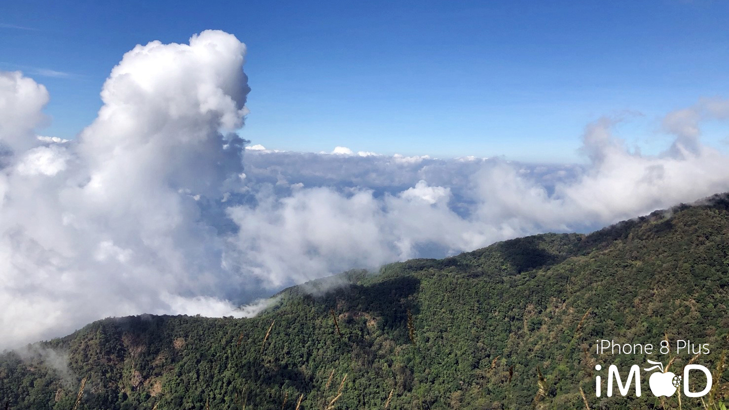 Iphone 8 Plus Wide Angle View 2