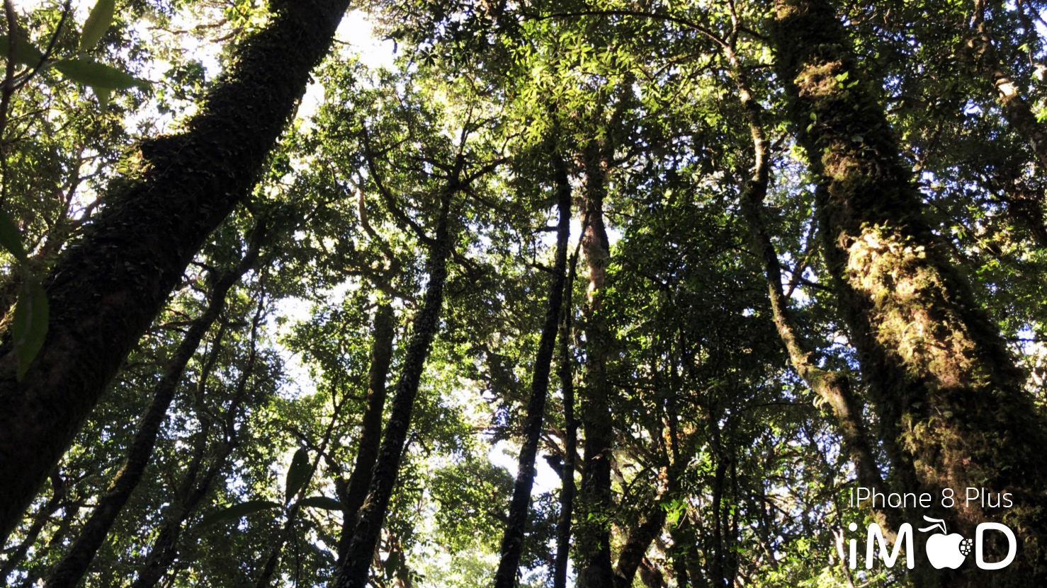 Iphone 8 Plus Wide Angle View 3