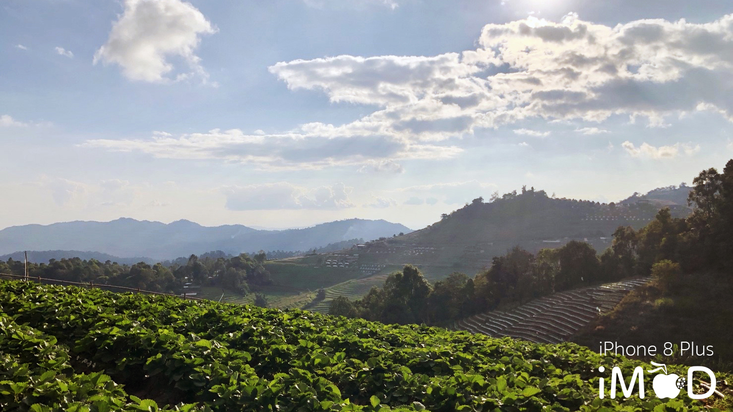 Iphone 8 Plus Wide Angle View 5