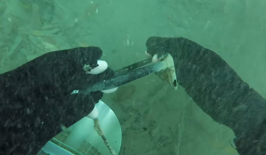 Underwater Detected Iphone 6s Plus 1