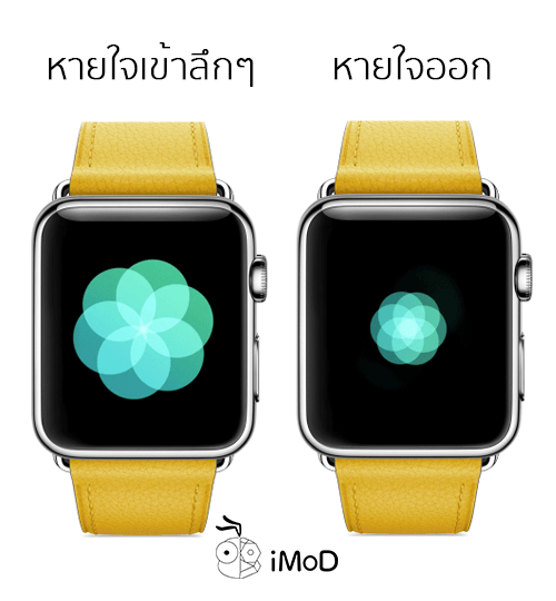 Apple Watch Breathe