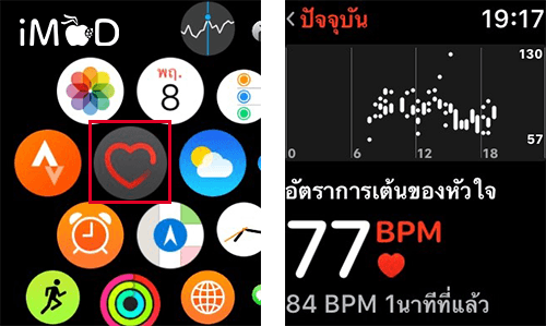 Apple Watch Check Heart Rate 1