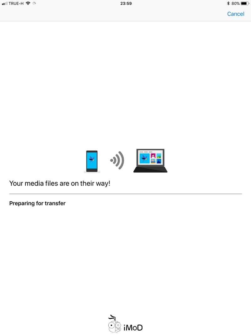 Photos Companion (3)