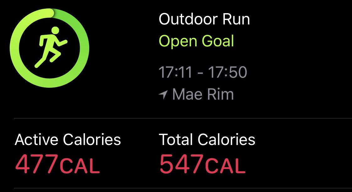Active Calories Total Calories Apple Watch 6