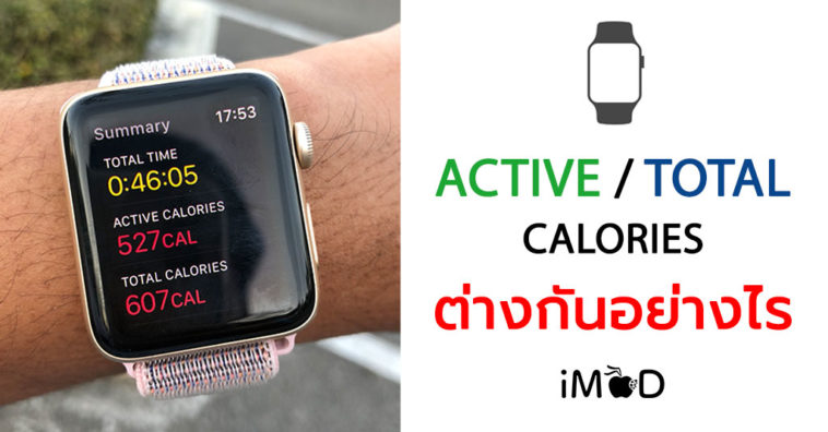 Active Calories Total Calories Apple Watch