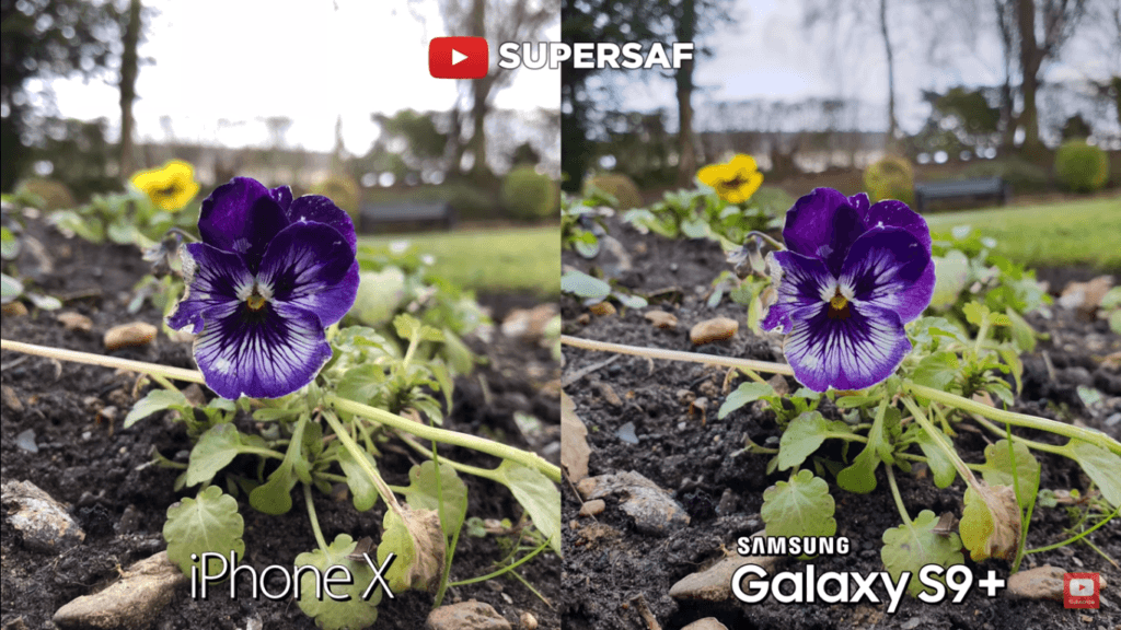 18 Close Up Camera Compare Iphone X Vs Samsung Galaxy S 9 Plus