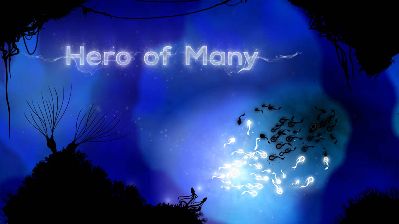 Game Hero Of Many Cover