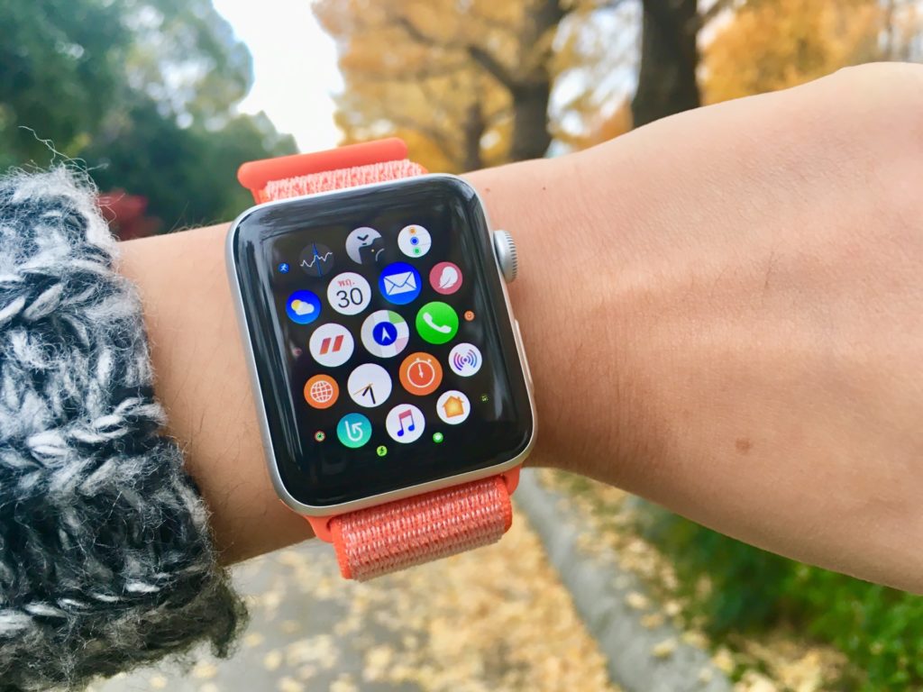 How To Check Apple Watch Not Measure Heart Rate 1