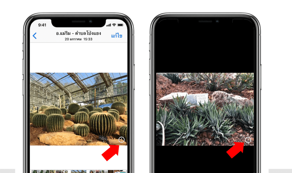 How To Fix Photo Cannot Load From Icloud 1