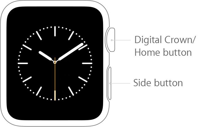 How To Screenshote Apple Watch 2