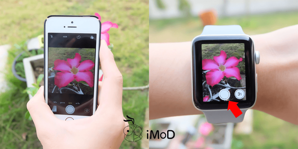 How To Use Apple Watch To Capture Like Remote Shutter 1