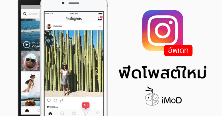 Instagram New Feed Algorithm Update