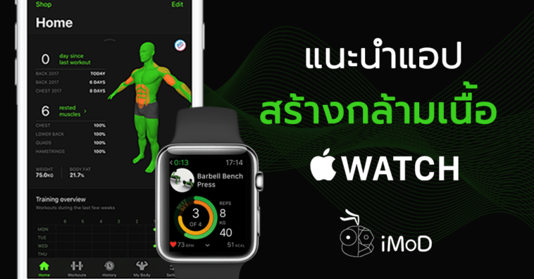 Muscle Trainer App For Apple Watch