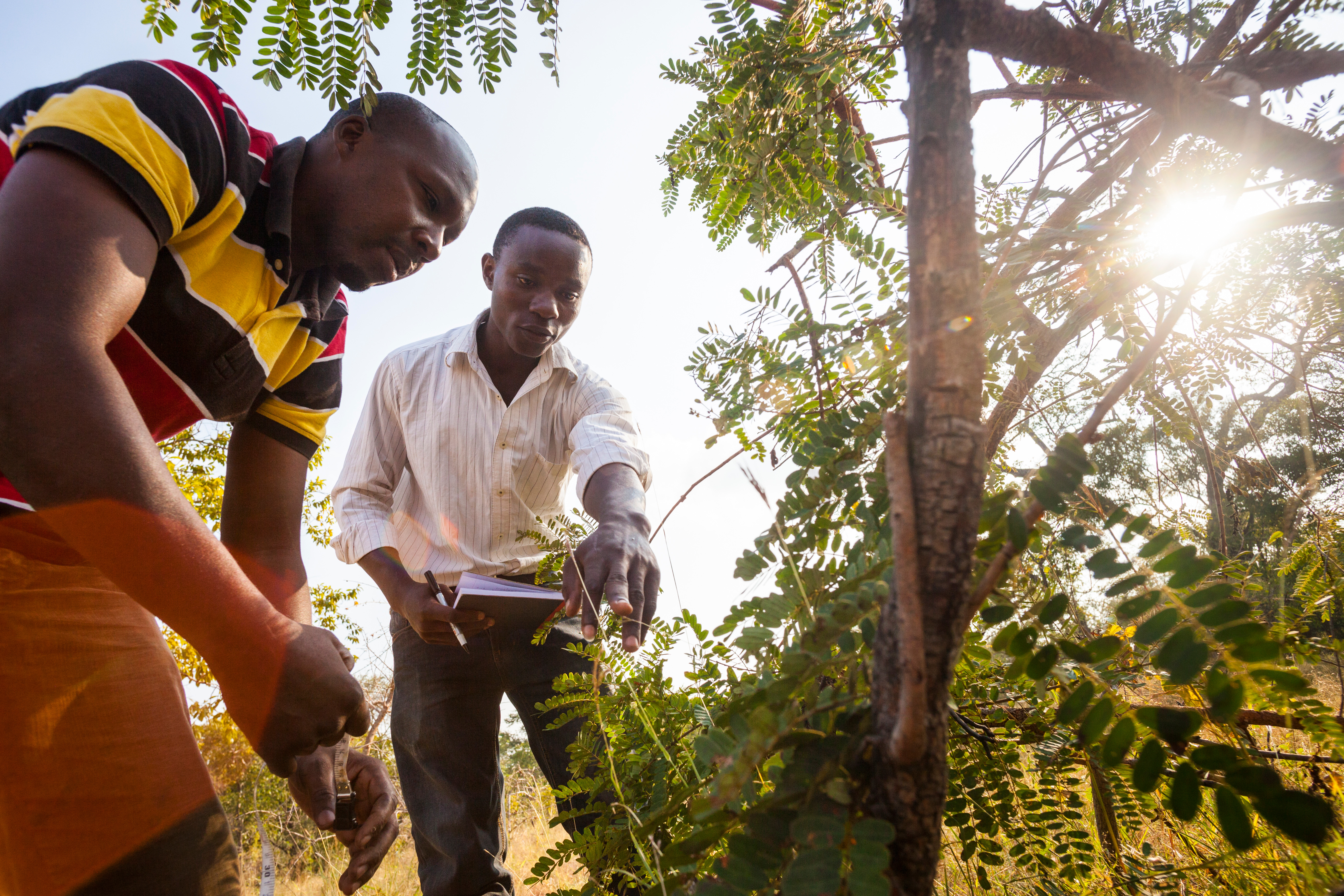 Apple Earth Day Conservation International 04192018