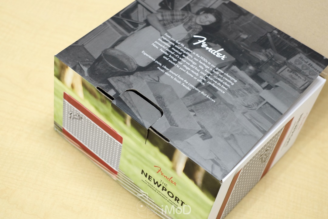 Fender Newport (2)
