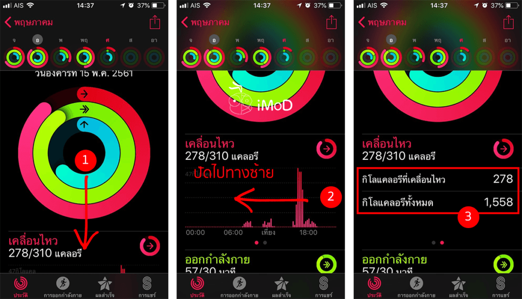 How To Check Total And Active Calories Apple Watch 1