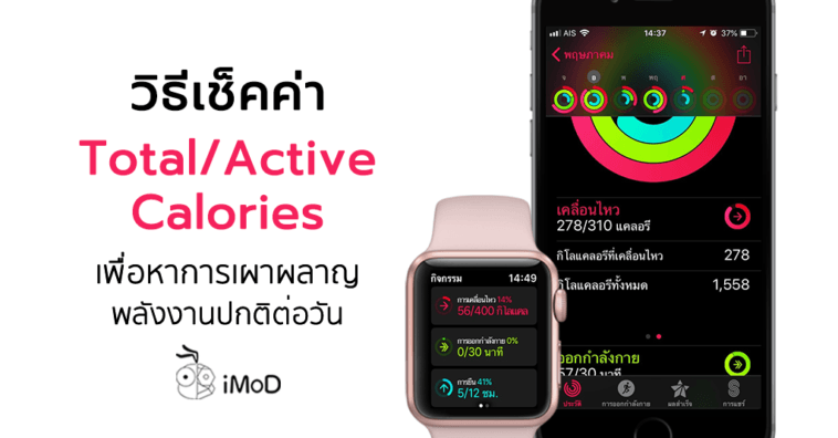 How To Check Total And Active Calories Apple Watch
