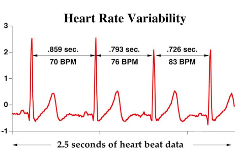 How To Measure Hrv Apple Watch 1