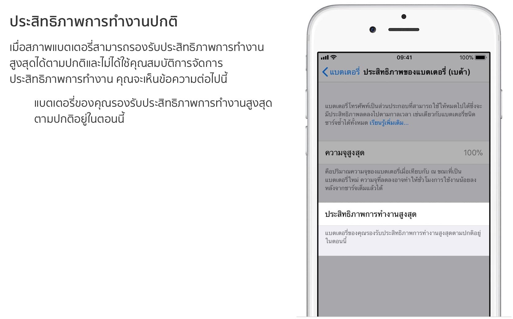 ประสิทธิภาพการทำงานปกติ