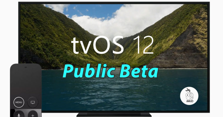 Tvos 12 Public Beta 1 Seed Cover 2