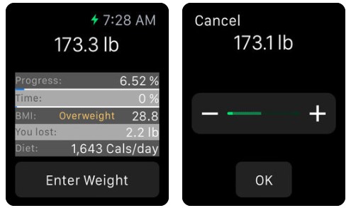 Count Calorie Monitoryouweight Apple Watch