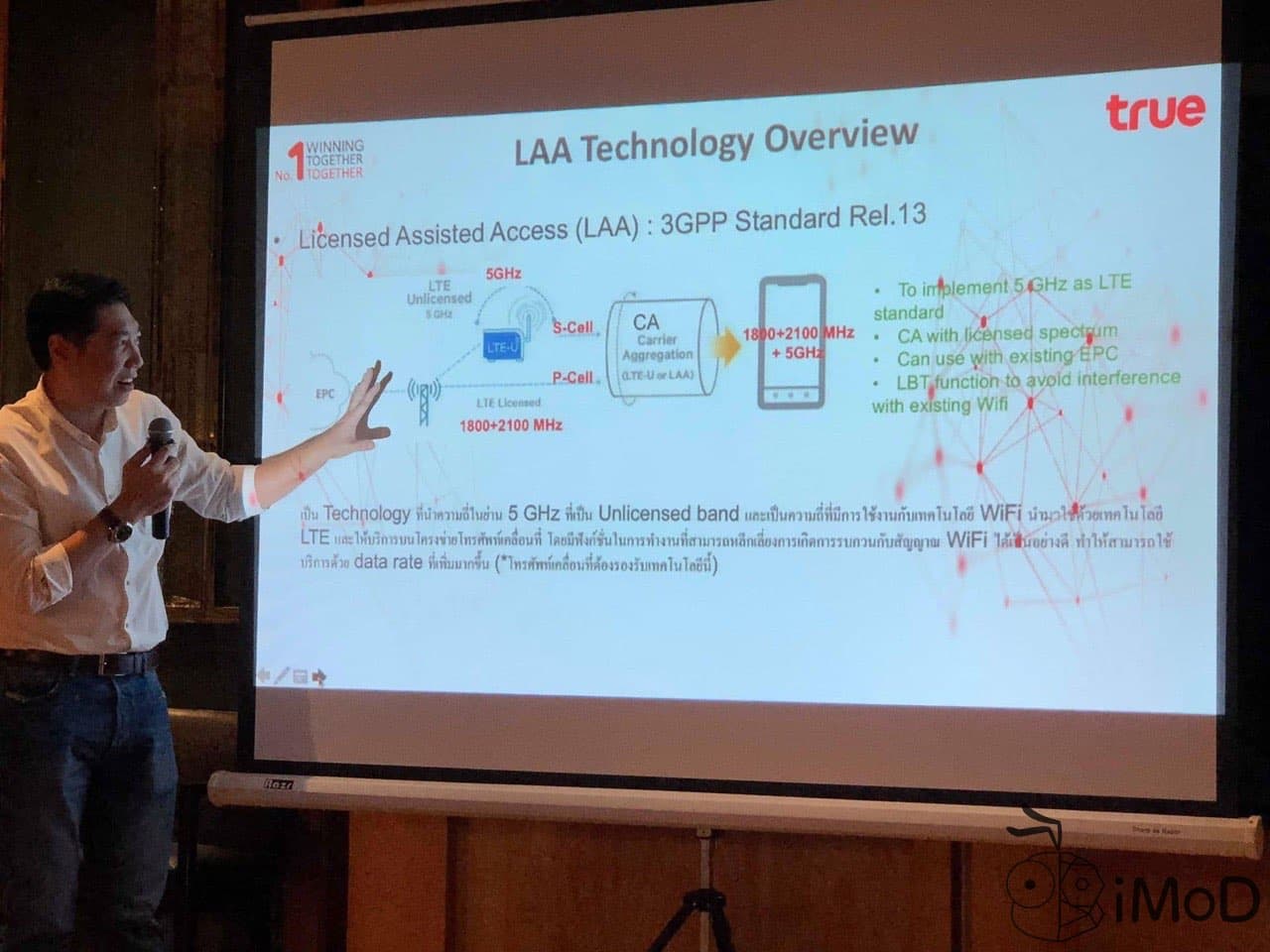 True Blogger Day June2018 1