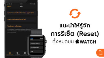 What Is Apple Watch Reset Setting