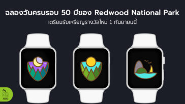 Apple Watch Activity Challenge Redwood National Park Cover