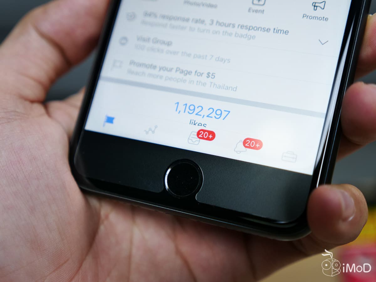 Focus Matte Screen Protector 12