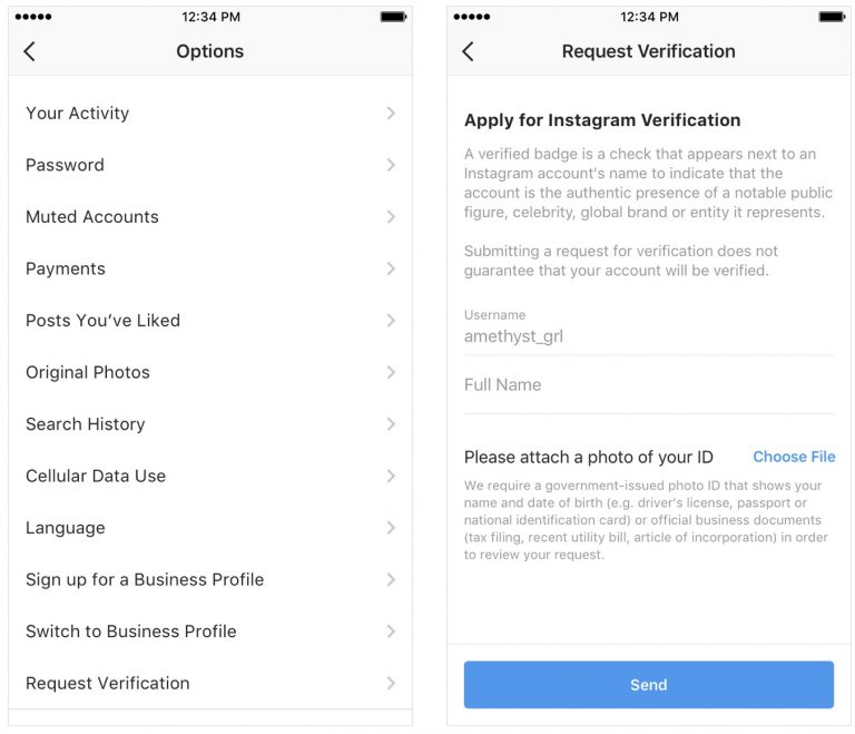 Instagram Verification Request