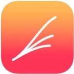 Mind Map Diagram App Fly Mind