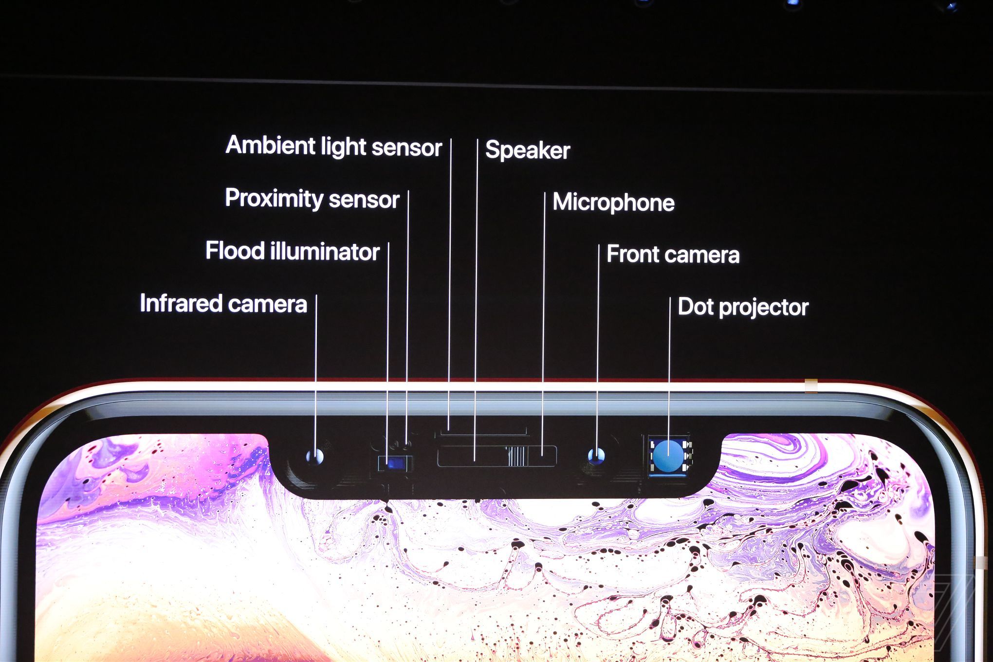 Apple Iphone 2018 Event Theverge Dbohn 871