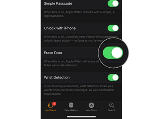 Apple Watch Scurity Privacy Feature 5