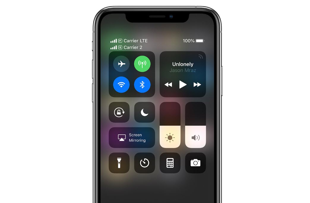 How Dual Sim Support Iphone Xs And Iphone Xs Max 2