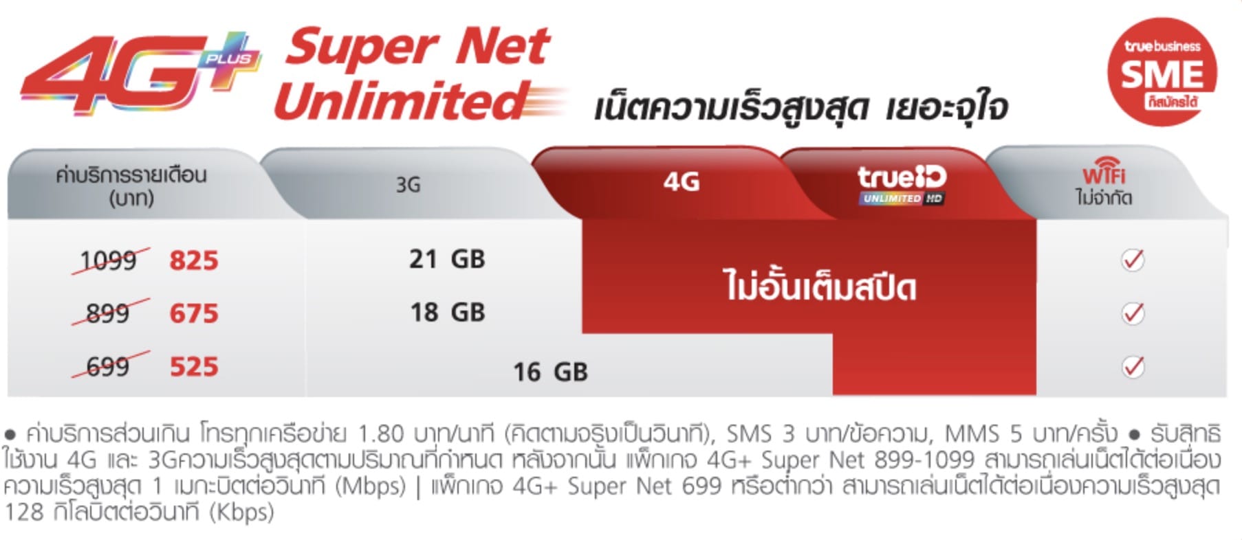 Ipad 9.7 2018 Cellular Truemove Promo Package