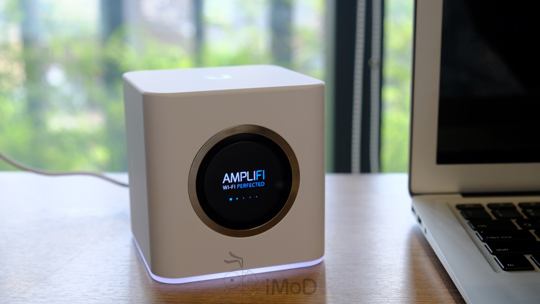 Amplifi (4)