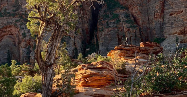 Apple Share Shot On Iphone Xs From Users